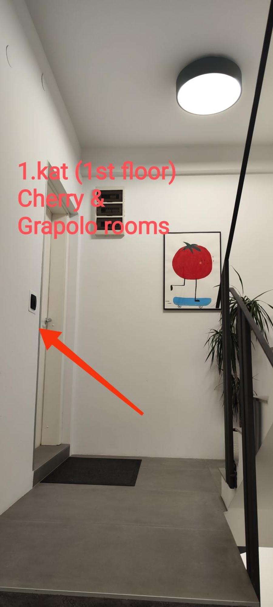 Pomodoro Rooms Zagreb Exterior foto